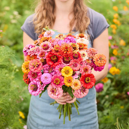 🌸 Grow Your Own Flower Garden – Mix Zinnia Seeds 💐