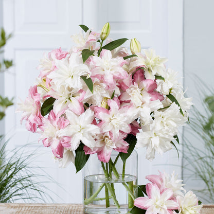 🌸 Romantic Double Oriental Lily Bulbs – Elegant Color Collection