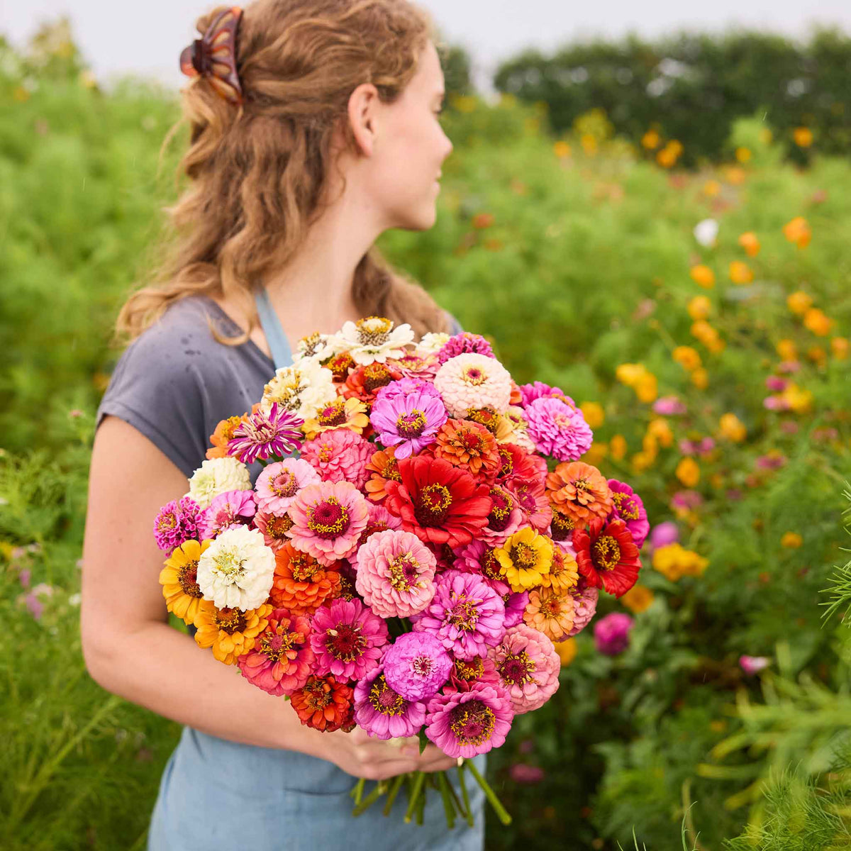 🌸 Grow Your Own Flower Garden – Mix Zinnia Seeds 💐