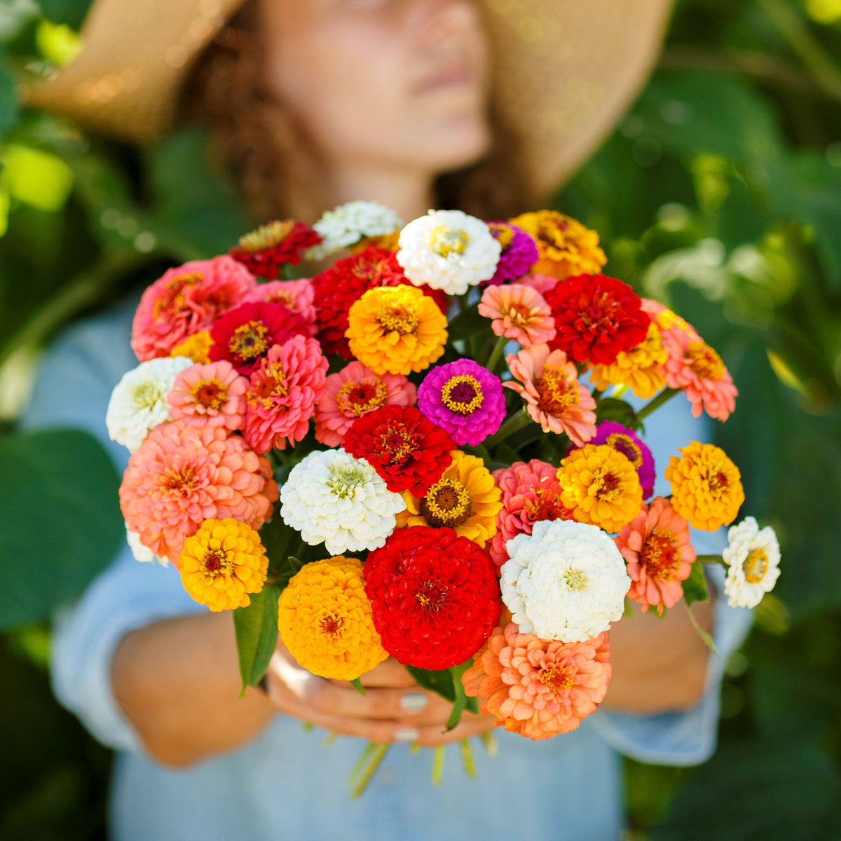 🌸 Grow Your Own Flower Garden – Mix Zinnia Seeds 💐