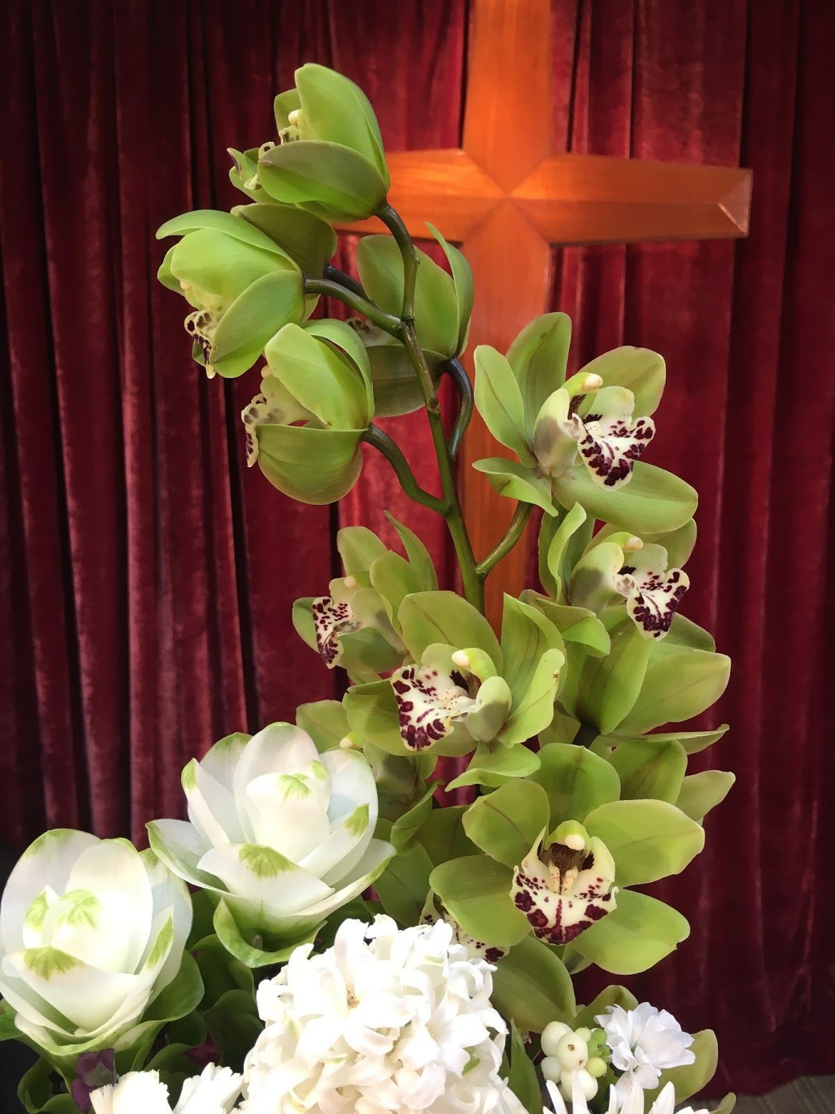 Cymbidium Orchid Seeds-Light Green