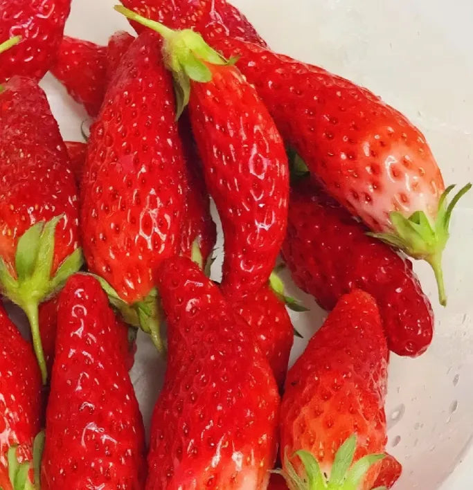 Rare Banana Strawberry Fruit Seeds