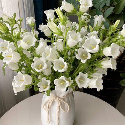 Campanula-Blessings From Afar
