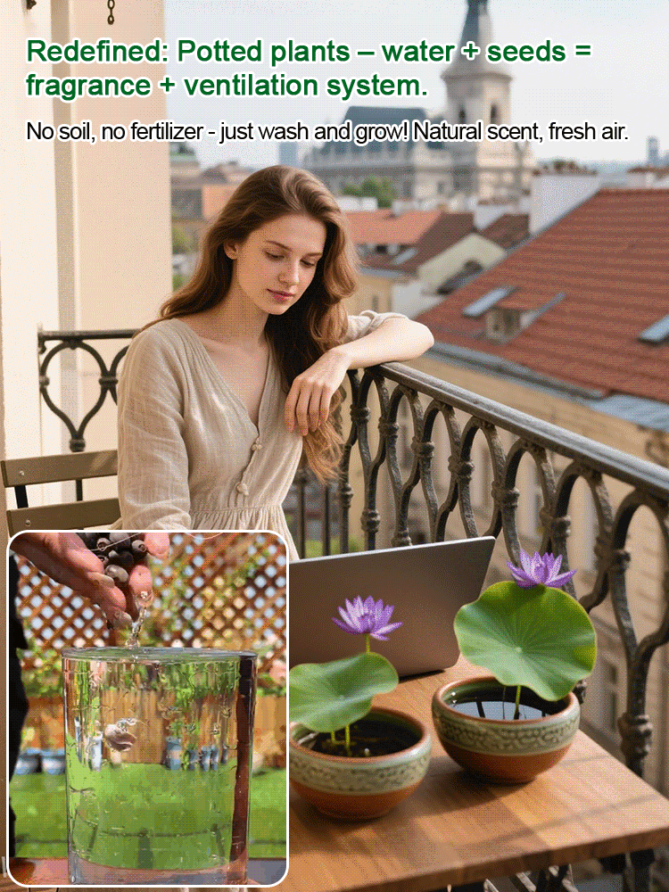 🌸LAST DAY Promotion 50% OFF🌸 Hydroponic Lotus 🌸 | Fresh, Simple & Beautiful(🌱Survival Guaranteed: Free Replacements🌿)