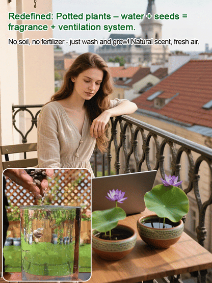 🌸LAST DAY Promotion 50% OFF🌸 Hydroponic Lotus 🌸 | Fresh, Simple & Beautiful(🌱Survival Guaranteed: Free Replacements🌿)