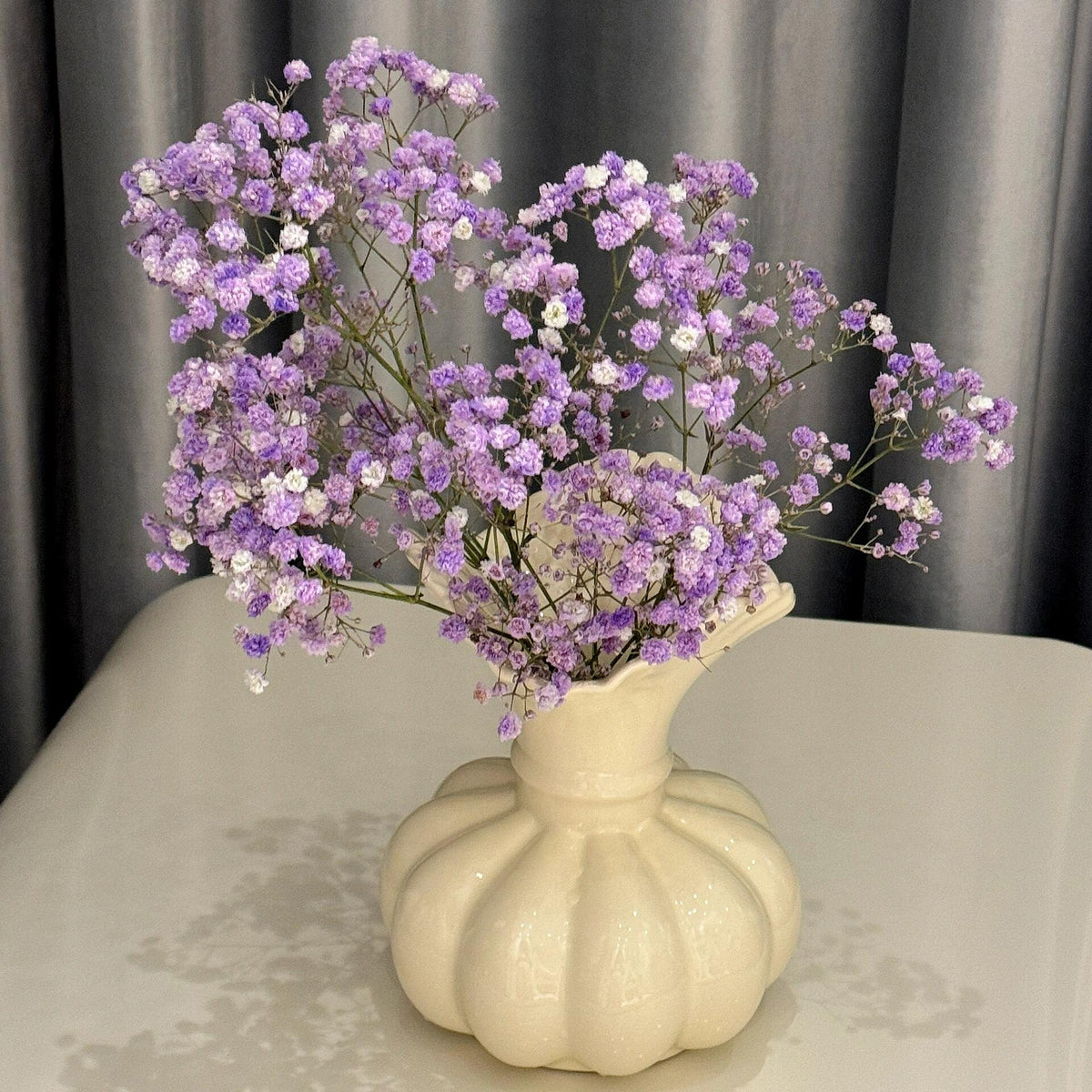 Grow a Starry Garden at Home – Premium Baby’s Breath Seeds