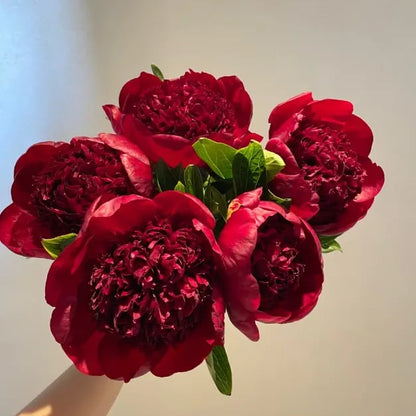 🔥LAST DAY 45% OFF🌺THE QUEEN OF FLOWERS—DOUBLE PETALED PIANI