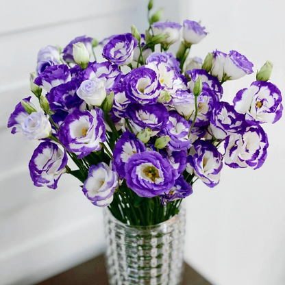 🔥53%OFF Mixed-Color Lisianthus 💥Best selling in 2026
