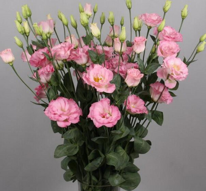 🔥53%OFF Mixed-Color Lisianthus 💥Best selling in 2026