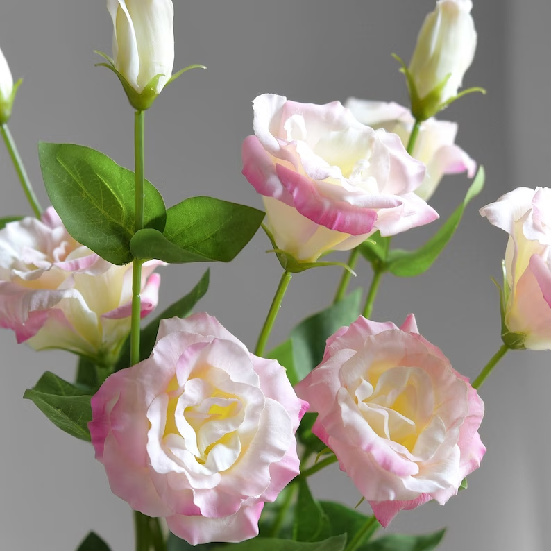 🔥53%OFF Mixed-Color Lisianthus 💥Best selling in 2026