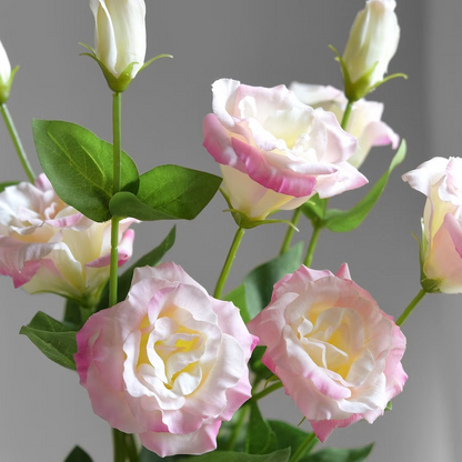 🔥53%OFF Mixed-Color Lisianthus 💥Best selling in 2026