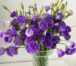 🔥53%OFF Mixed-Color Lisianthus 💥Best selling in 2026