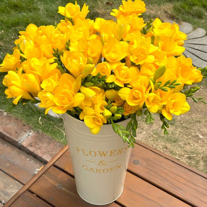 Freesia Bulbs-World Famous Fragrance