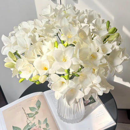 Freesia Bulbs-World Famous Fragrance