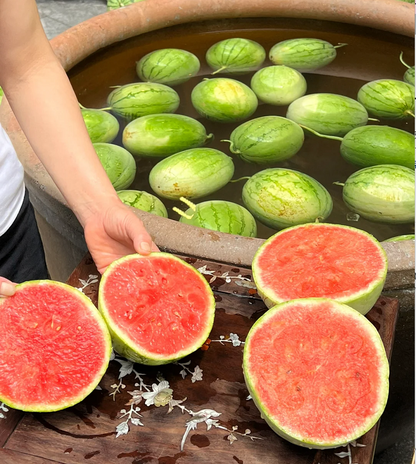 Rock Sugar Watermelon Seeds