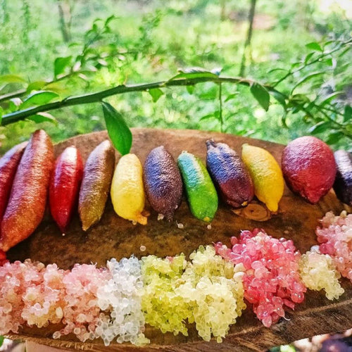 Finger Lime Seeds Lemon Caviar Seeds