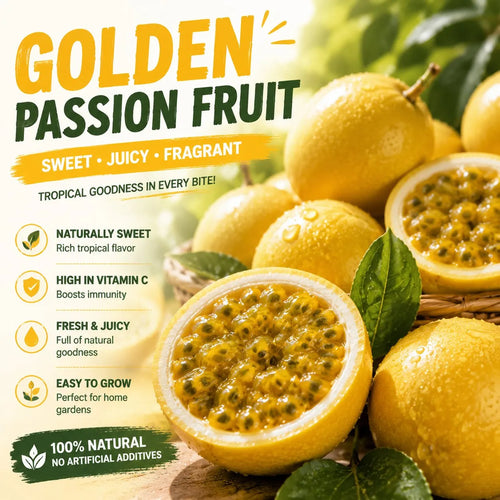 💛 Golden Passion Fruit Seeds – Sweet, Juicy & Delicious