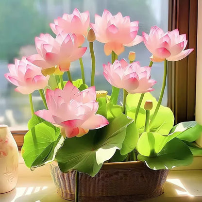 🌸LAST DAY Promotion 50% OFF🌸 Hydroponic Lotus 🌸 | Fresh, Simple & Beautiful(🌱Survival Guaranteed: Free Replacements🌿)