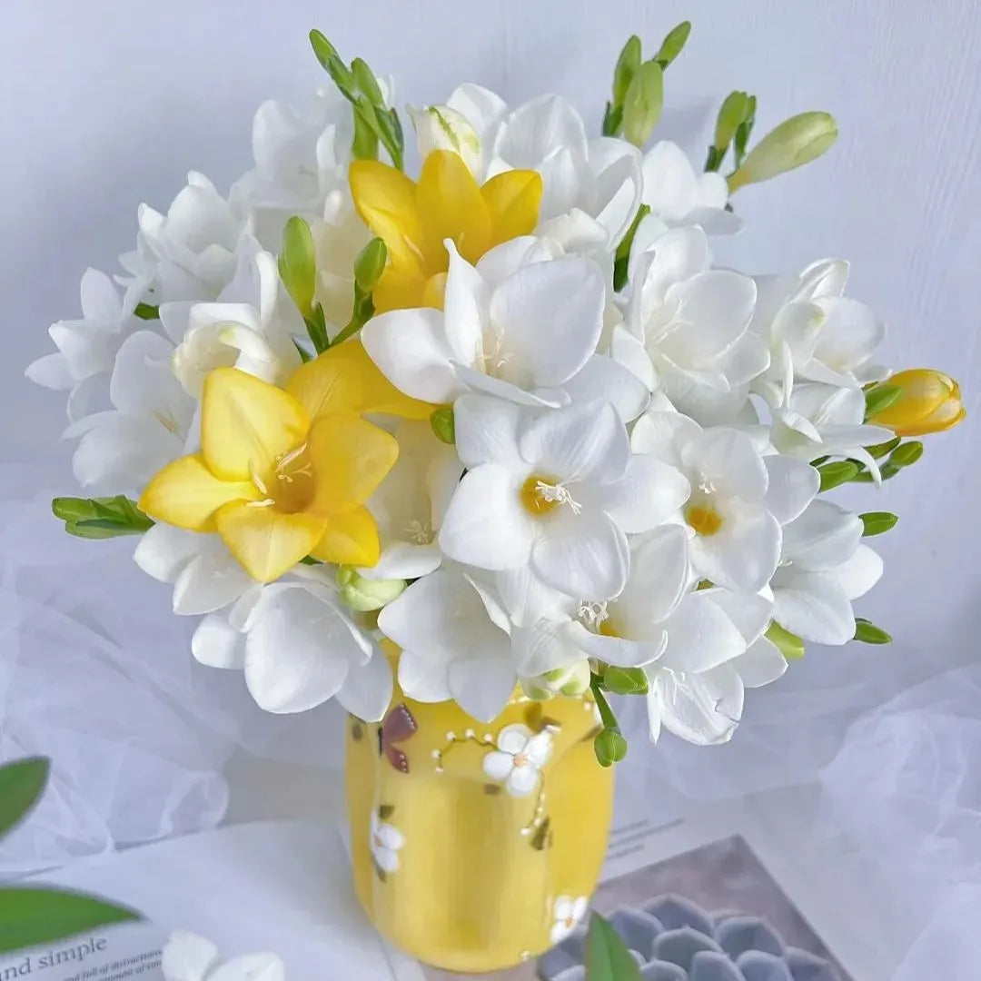 💐Freesia Bulbs-Happiness Arrives