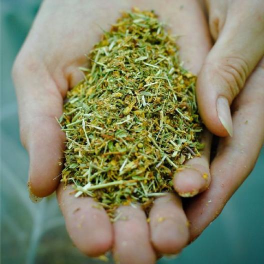 St. Johns Wort Seeds