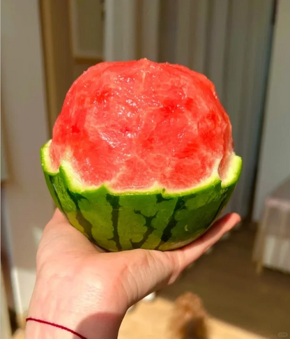 Rock Sugar Watermelon Seeds