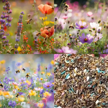 Mixed Perennial Flowers Seeds-Over 60 kinds mixed