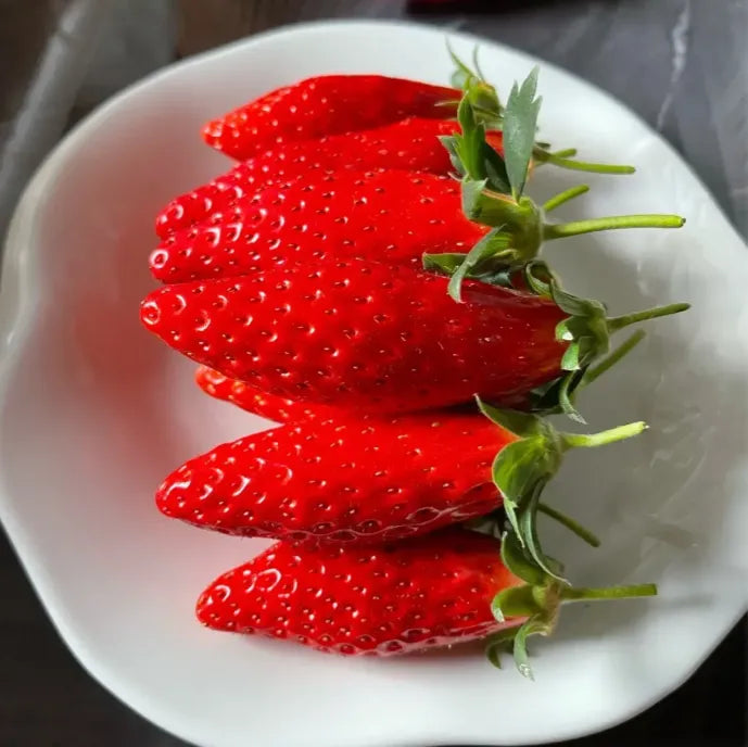 Rare Banana Strawberry Fruit Seeds