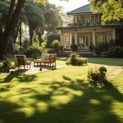 🌱 Evergreen dwarf grass seed for four seasons | Create your perfect lawn here