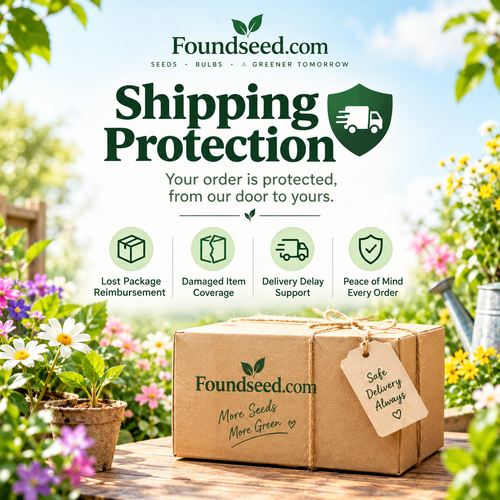 Shipping Protection