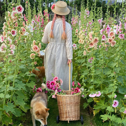 Single Flowered Hollyhock Seeds