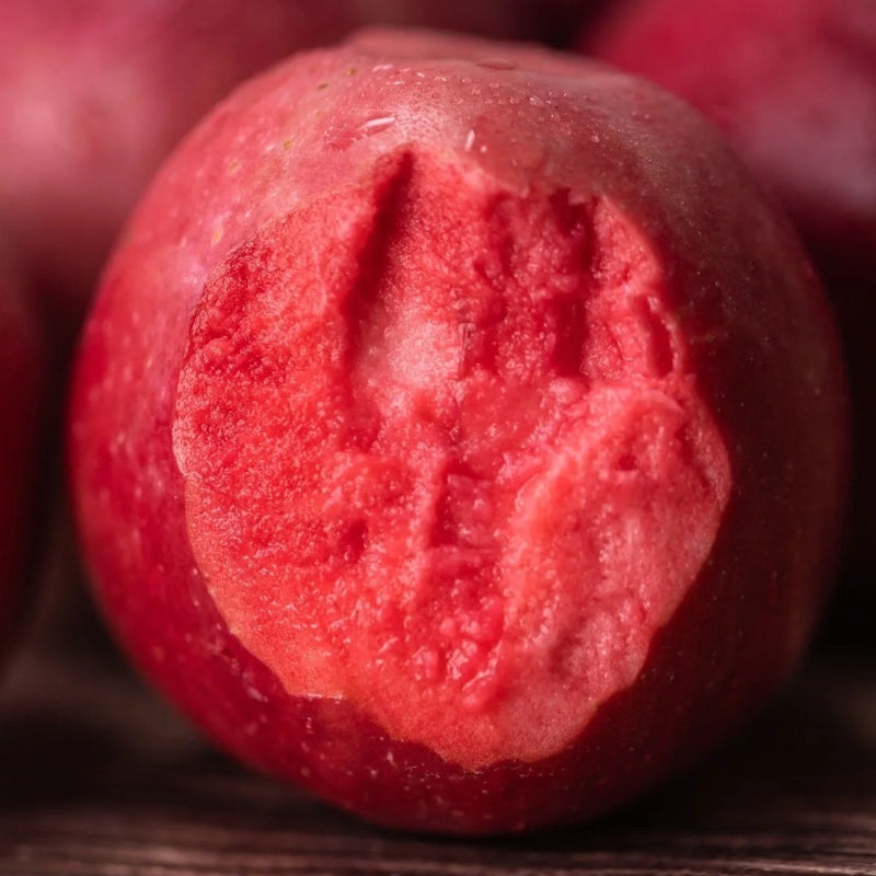 Red Flesh Apple Seeds