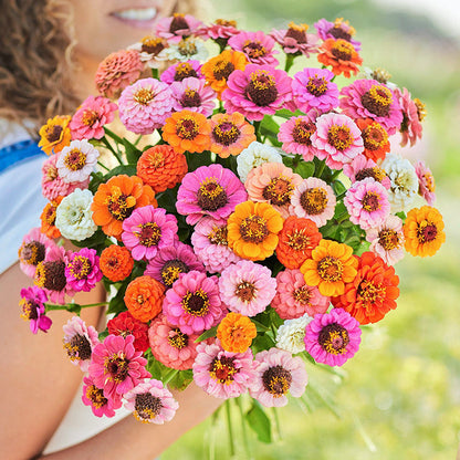 🌺Double Dwarf Zinnia Seeds