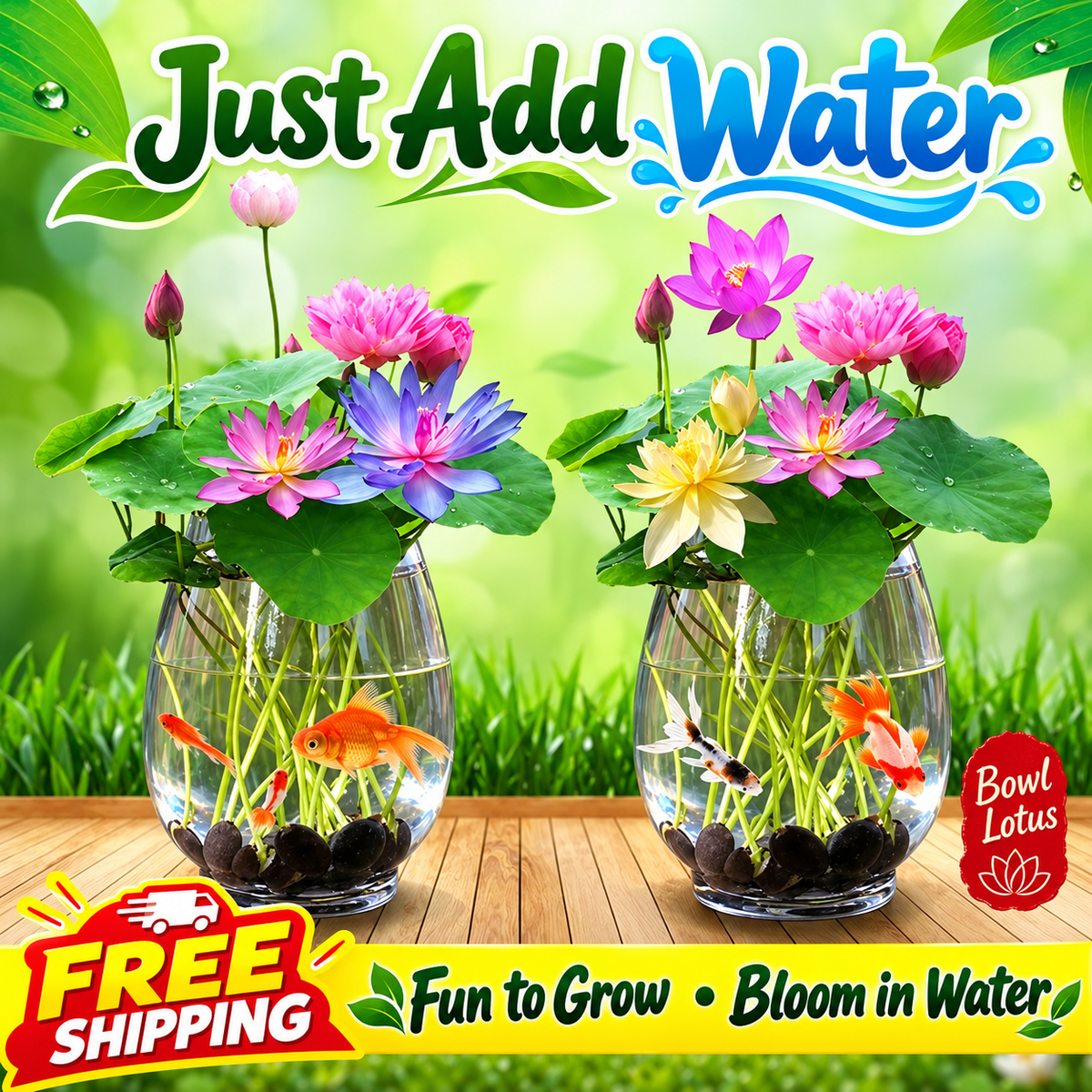 🔥 Up to 60% OFF! 🔥  🌸🪷 Mini Water Lotus Seeds ✨ Grow Your Own Beautiful Water Garden!