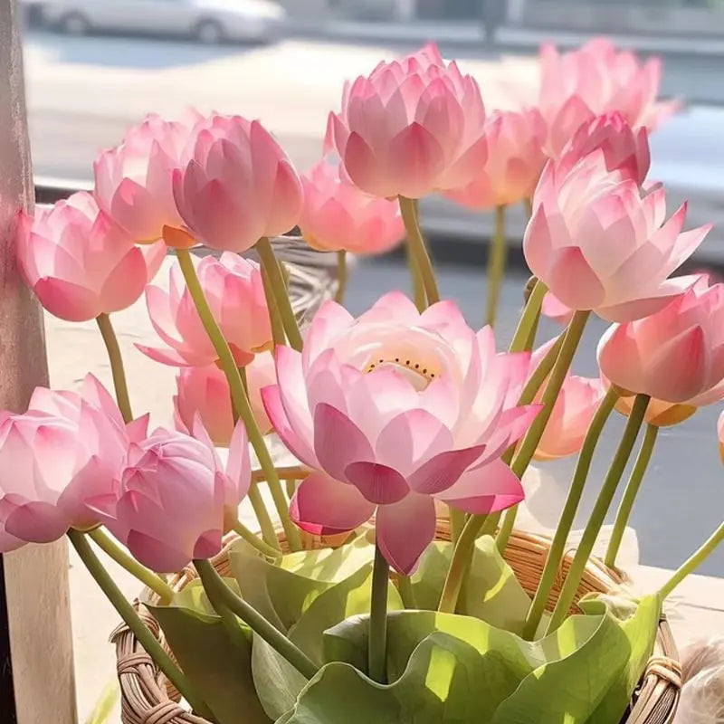 🔥 Up to 60% OFF! 🔥  🌸🪷 Mini Water Lotus Seeds ✨ Grow Your Own Beautiful Water Garden!