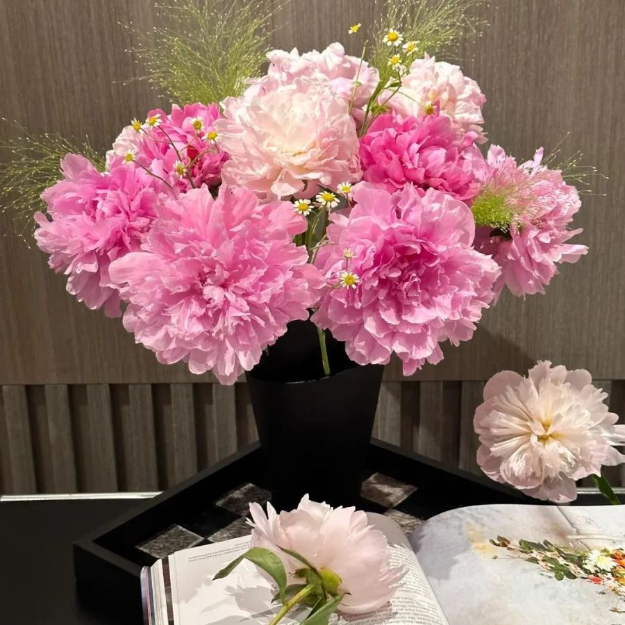 🌺Multicolor Double Peony - The Stunning Flower Of Time