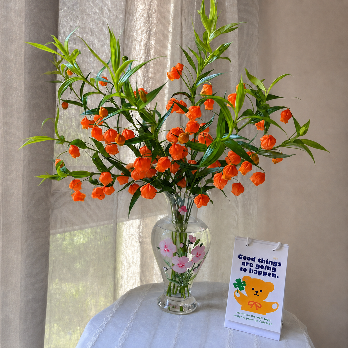 Lantern Lily-Elegant Summer Lily Bulbs