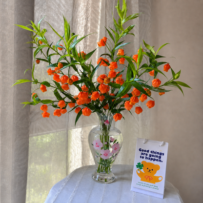 Lantern Lily-Elegant Summer Lily Bulbs