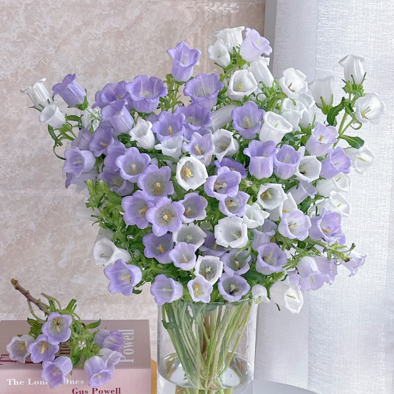 Campanula-Blessings From Afar