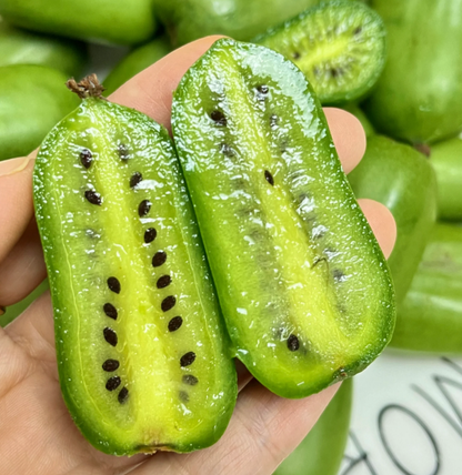 Soft Date Kiwi Seeds