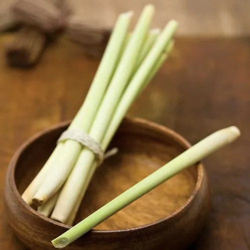 Lemongrass Seeds