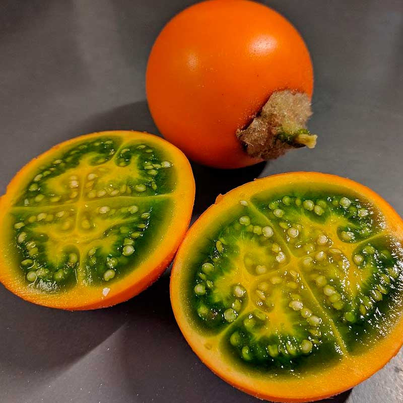 Lulo Seeds
