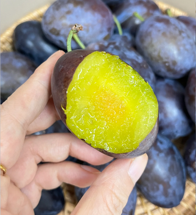 Damson Blue Plums Fruit Seeds