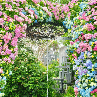 💐Endless Summer Hydrangea Falls