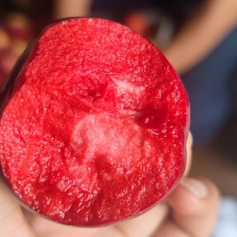Red Flesh Apple Seeds