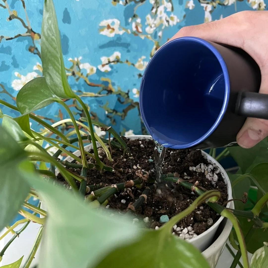 💚Nutrient Bars - The Secret to Beautiful and Lush Plants🌸