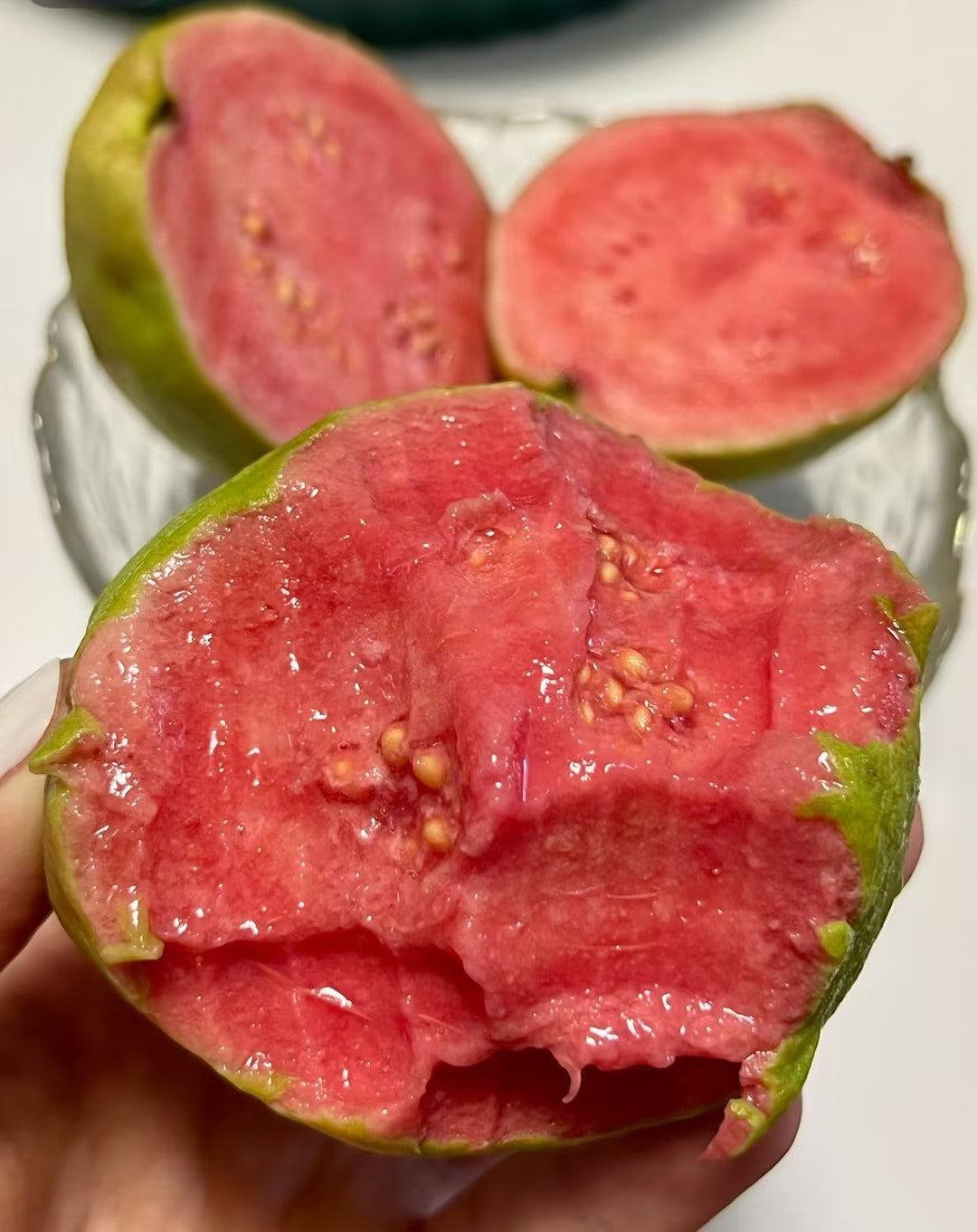 💡Red Flesh Guava - Large & High-Yield, Easy to Grow Delicious Fruit