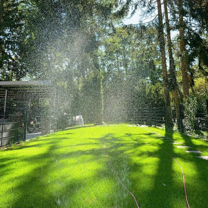 🌱High quality evergreen lawn seeds