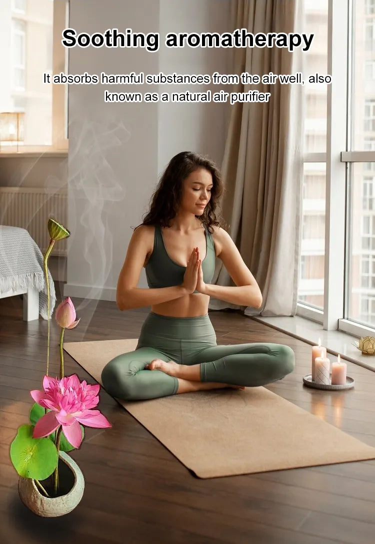 🌸LAST DAY Promotion 50% OFF🌸 Hydroponic Lotus 🌸 | Fresh, Simple & Beautiful(🌱Survival Guaranteed: Free Replacements🌿)