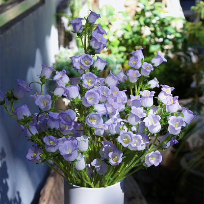 Bellflower Seeds/Canterbury Bells Seeds