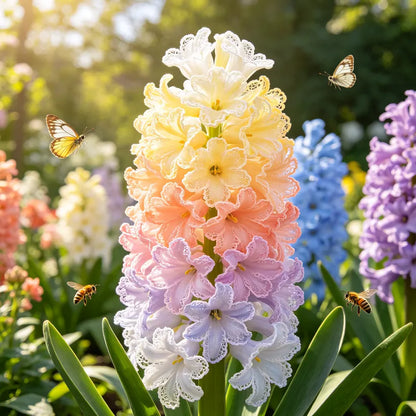 💐 Rare Artistic Hyacinth Bulbs – Fragrant Blooms for Your Home & Garden